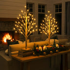 Enchanted Birch Tree